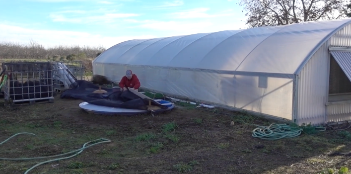 Aquaponics demo